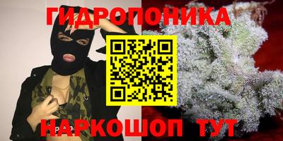 МДМА Кингисепп