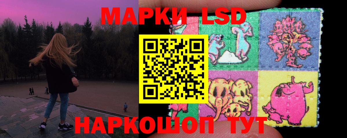 Codein Кудрово