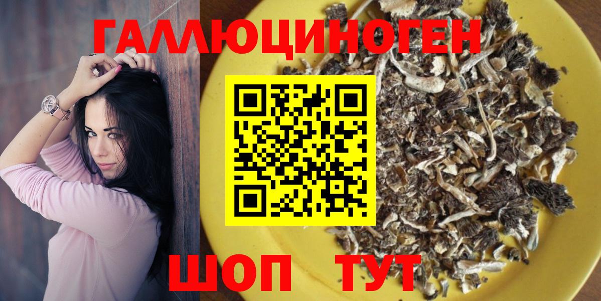 Кудрово  Галлюциногенные грибы Psilocybine cubensis  Вход с VPN 
